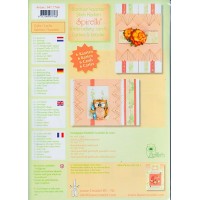 947.7766 Borduur Spirella Kit Zalm